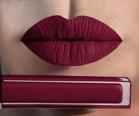 ODM Daily Long Lasting Lipstick Makeup Lip Gloss Liquid Lipstick