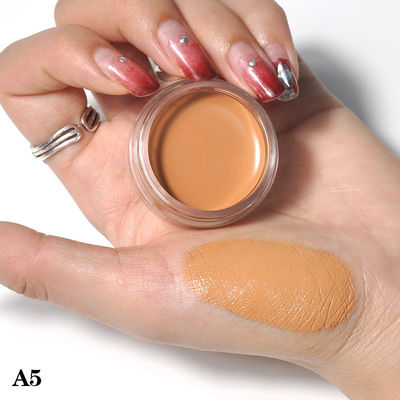 10 Colour Makeup Contour Palette Cream Concealer Kit Highlighter Contour Blush Palette