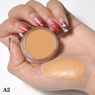 10 Colour Makeup Contour Palette Cream Concealer Kit Highlighter Contour Blush Palette