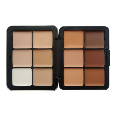Private Label Makeup Contour Palette Long Lasting  For Daily Makeup