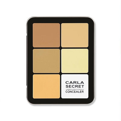 Private Label Makeup Contour Palette Long Lasting  For Daily Makeup