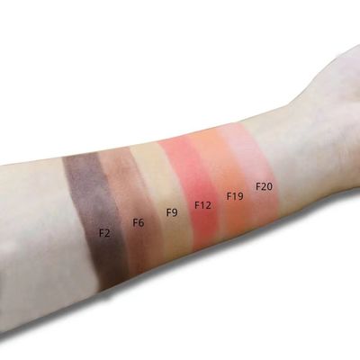 Portable Beauty Color Blush Palette , Contour Highlighter Blush Palette